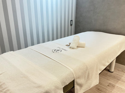 [導入価格]ダクトピール大判タオル（１枚）